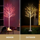 Jingle Jollys Christmas Tree 1.7m Twigs 120 RGB LED Lights Xmas Trees Decoration-5