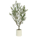 Artificial Olive Tree In French Crock Pot 2M - RnR Galore