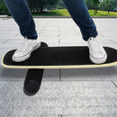 Balance Board Trainer with Stopper Wobble Roller - RnR Galore