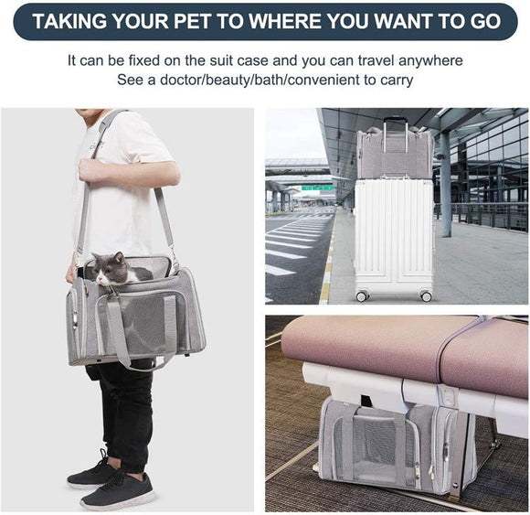 Black Portable Pet Travel Carrier Bag - Foldable, Durable, and Comfortable for Small Dogs & Cats 40cmx25cmx25CM - RnR Galore