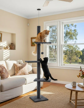 CARLA HOME Floor to Ceiling Cat Tree Tower with Adjustable Height 230 - 286cm for Indoor Cats (Grey) - RnR Galore