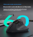 Ergonomic Vertical Mouse - 2.4G/Bluetooth Multi - Mode, LED Display, 57 - Degree Angle, & 400mAh Battery(White) - RnR Galore