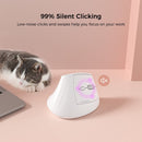 Ergonomic Vertical Mouse - Multi - Device Bluetooth5.0 & 2.4G Wireless, Adjustable DPI, Silent Click(pale pinkish gray) - RnR Galore