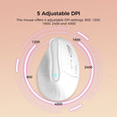 Ergonomic Vertical Mouse - Multi - Device Bluetooth5.0 & 2.4G Wireless, Adjustable DPI, Silent Click(pale pinkish gray) - RnR Galore