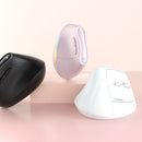 Ergonomic Vertical Mouse - Multi - Device Bluetooth5.0 & 2.4G Wireless, Adjustable DPI, Silent Click(white) - RnR Galore