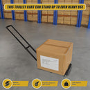 Foldable Hand Flatbed Trolley Cart 6 x 360 Degree Rotating Wheels with Maximum Load 200Kg - RnR Galore