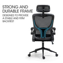 FORTIA Ergonomic Office Desk Chair, Lumbar Support, Mesh Fabric, Adjustable Headrest, Retractable Armrests, Black - RnR Galore
