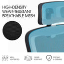 FORTIA Ergonomic Office Desk Chair, Lumbar Support, Mesh Fabric, Adjustable Headrest, Retractable Armrests, Black - RnR Galore