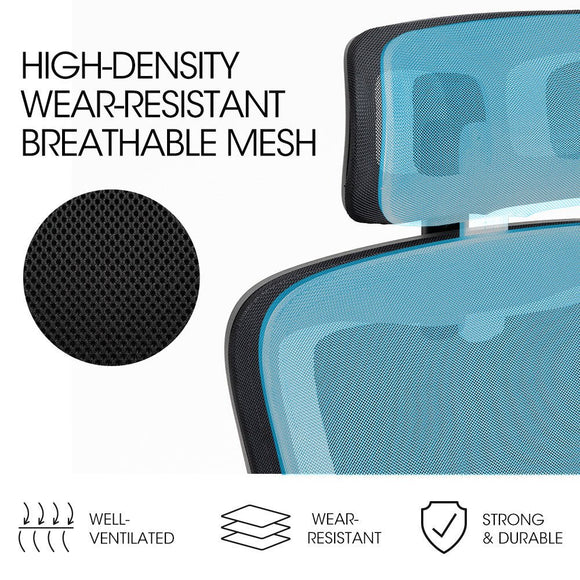 FORTIA Ergonomic Office Desk Chair, Lumbar Support, Mesh Fabric, Adjustable Headrest, Retractable Armrests, Black - RnR Galore