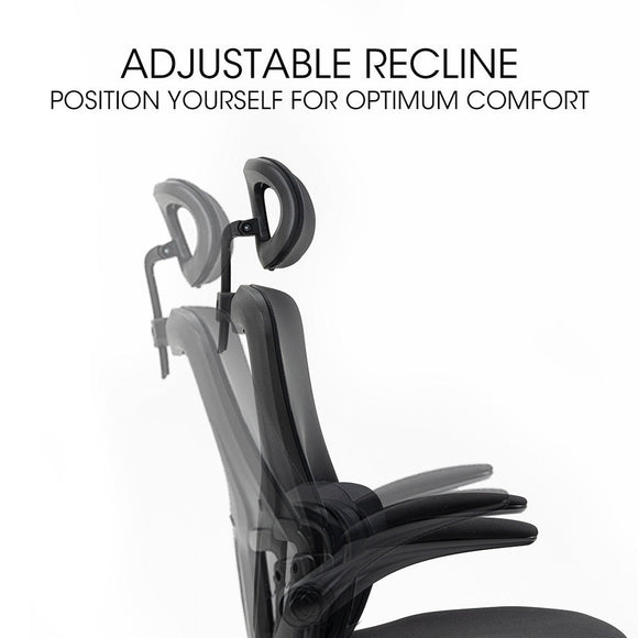 FORTIA Ergonomic Office Desk Chair, Lumbar Support, Mesh Fabric, Adjustable Headrest, Retractable Armrests, Black - RnR Galore