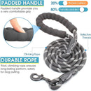 Green 3 - in - 1 Tangle - Free Dog Leash for 1 - 3 Dogs - Heavy Duty Bungee Coupler with Reflective Stitching & Padded Handle - RnR Galore