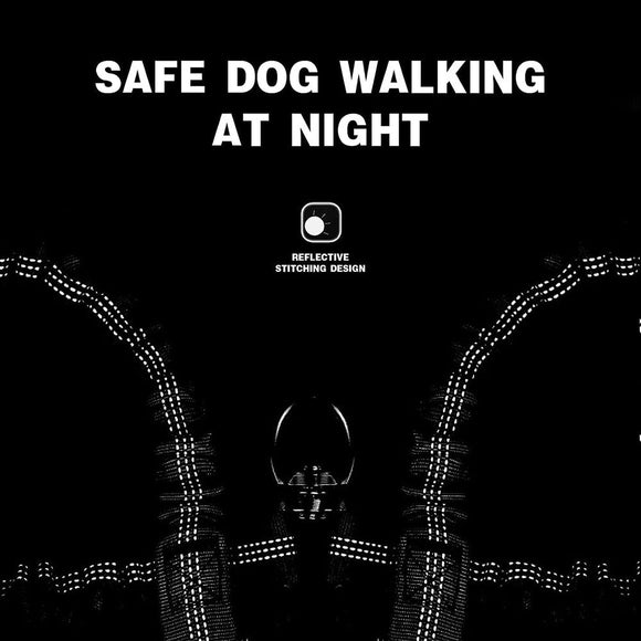 Green 3 - in - 1 Tangle - Free Dog Leash for 1 - 3 Dogs - Heavy Duty Bungee Coupler with Reflective Stitching & Padded Handle - RnR Galore