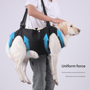Green Pet Support Harness for Senior and Disabled Dogs - Adjustable Chest and Back Support Leash(Size L) - RnR Galore