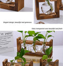 HydroponicWoodenFramewithSnap - On - Heart - ShapedTripleBottle - RnR Galore