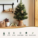 Jingle Jollys Christmas Tree 60CM Mini Tabletop 8 Light Modes Timer Xmas Tree - RnR Galore