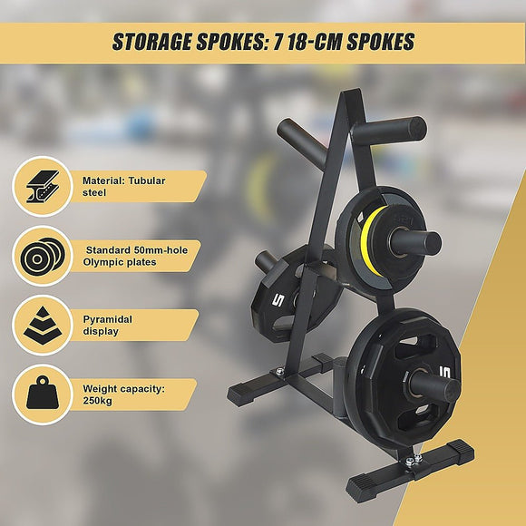 Olympic Weight Plate Storage Rack 250kg Capacity - RnR Galore