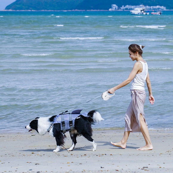 pet products Pet Strong Spring Telescopic Traction Device - RnR Galore