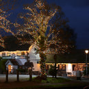 Samland 1200 Led Christmas Fairy Light Multi Colour - RnR Galore