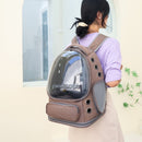 Spacious Pet Carrier with Ventilation System & Water - Resistant Design(pink) - RnR Galore