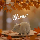 Stretchy Squishy Australian Wildlife Gift Set - Sensory Stimulation Animal Toys - RnR Galore