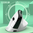 Two Ergonomic Vertical Wireless Mouse - Dual Mode (2.4G & Bluetooth), 5 Adjustable DPI, Silent Clicks, Rechargeable(white) - RnR Galore