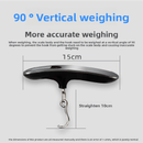 White Green light Portable Digital Luggage Scale 50kg High Precision Hanging Weigher with Backlit LCD Stainless Steel for Travel Home and Postal Use - RnR Galore