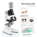 White Kids Biological Microscope Kit 100x 400x 1200x LED Magnification STEM Science Toy for School Students with Sample Slides - RnR Galore