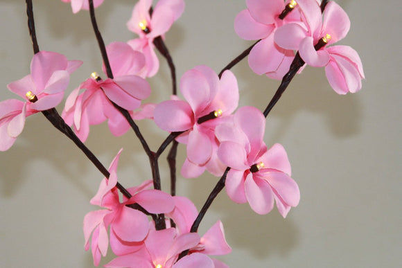 1 Set of 50cm H 20 LED Pink Frangipani Tree Branch Stem Fairy Light Wedding Event Party Function Table Vase Centrepiece Decoration Girl Bedroom - RnR Galore