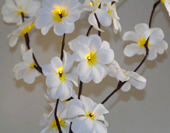 1 Set of 50cm H 20 LED White Frangipani Tree Branch Stem Fairy Light Wedding Event Party Function Table Vase Centrepiece Decoration - RnR Galore