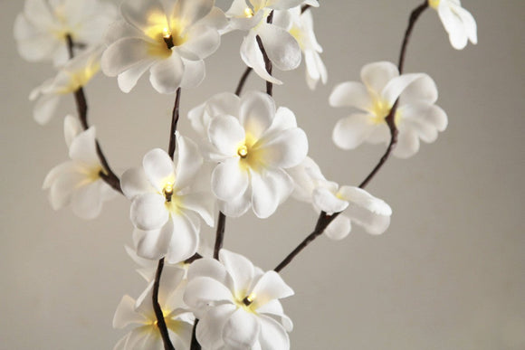 1 Set of 50cm H 20 LED White Frangipani Tree Branch Stem Fairy Light Wedding Event Party Function Table Vase Centrepiece Decoration - RnR Galore