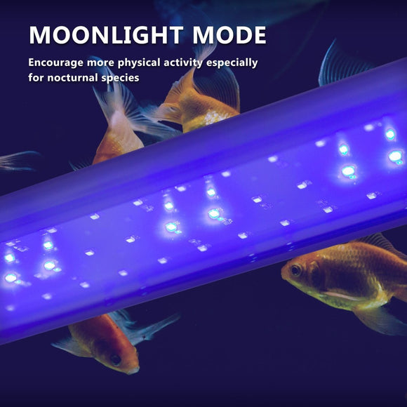 11W Aquarium Blue White LED Light for Tank 50 - 70cm - RnR Galore