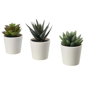 3 Pack of Artificial Succulent Potted Plants in White Plastic 6cm Pot Interior Decoration - RnR Galore