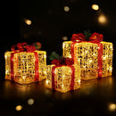 3 PCS Christmas Lights Gift Box Set Set 48 LED Decorations Jingle Jollys - RnR Galore