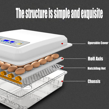 36 Egg Incubator Fully Automatic Digital Thermostat Chicken Eggs Poultry - 0