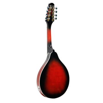 Karrera 8-String Electric Mandolin - 0