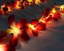 1 Set of 20 LED Deep Red Frangipani Flower Battery String Lights Christmas Gift Home Wedding Party Decoration Outdoor Table Garland Wreath-2