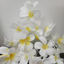 1 Set of 20 LED White Frangipani Flower Battery String Lights Christmas Gift Home Wedding Beach Party Decoration Outdoor Table Centrepiece-1