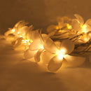1 Set of 20 LED White Frangipani Flower Battery String Lights Christmas Gift Home Wedding Beach Party Decoration Outdoor Table Centrepiece-4