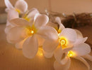 1 Set of 20 LED White Frangipani Flower Battery String Lights Christmas Gift Home Wedding Beach Party Decoration Outdoor Table Centrepiece-5
