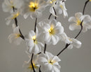 1 Set of 50cm H 20 LED White Frangipani Tree Branch Stem Fairy Light Wedding Event Party Function Table Vase Centrepiece Decoration-2
