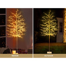 2.1M Christmas Tree 480 LED Solar Jingle Jollys-6