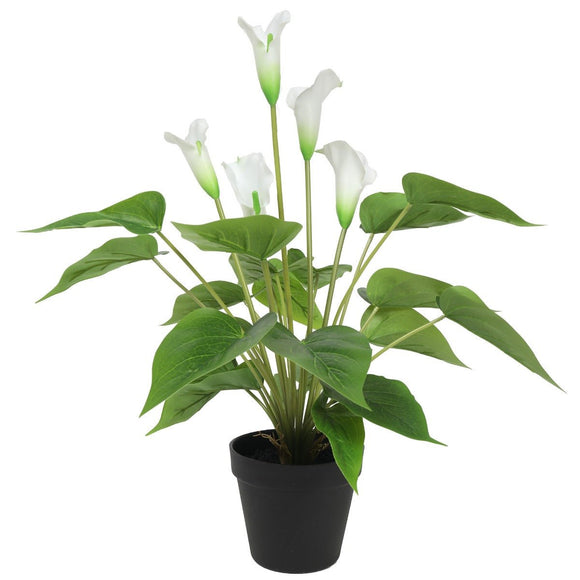 Artificial Flowering White Peace Lily / Calla Lily Plant 50cm - RnR Galore