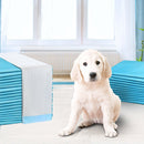 i.Pet Pet Training Pads 400pcs 60x60cm Puppy Dog Toilet Pee Indoor Super Absorbent Blue - RnR Galore