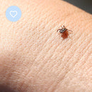 Mitey Tick Off For You Electronic Tick Repeller - RnR Galore