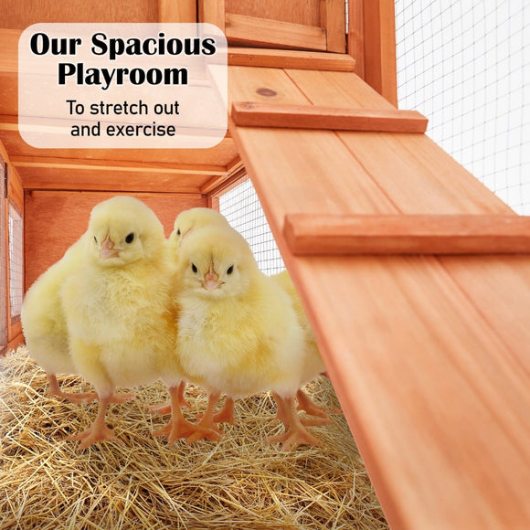 Rabbit Hutch Chicken Coop 204 x 45 x 85cm 2 Storey Cage Mansion - RnR Galore