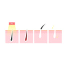 Silhouette Portable Laser Hair Remover Permanent Epliation System Body Face Home - RnR Galore