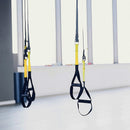 Suspension Trainer Straps Workout - RnR Galore