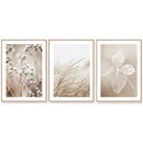Wall Art 60cmx90cm Dried Flower 3 Sets Wood Frame Canvas - RnR Galore
