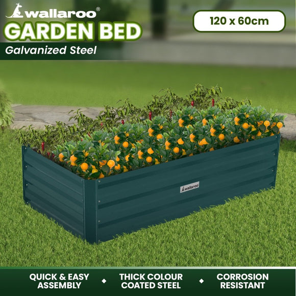 Wallaroo Garden Bed 120 x 60 x 30cm Galvanized Steel - Green - RnR Galore