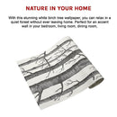 Wallpaper White Birch Tree Non - woven Wall Paper Roll - RnR Galore
